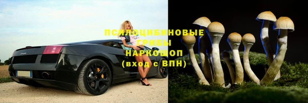 a pvp Арсеньев