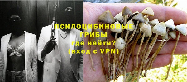 твердый Балахна