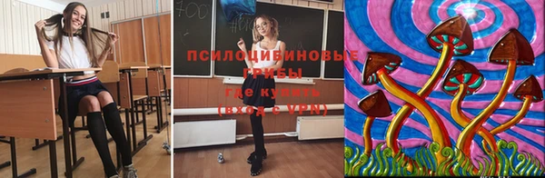 стаф Армянск